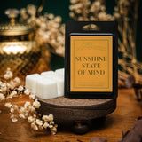 Sunshine State of Mind | Sunkissed Mood Wax Melt